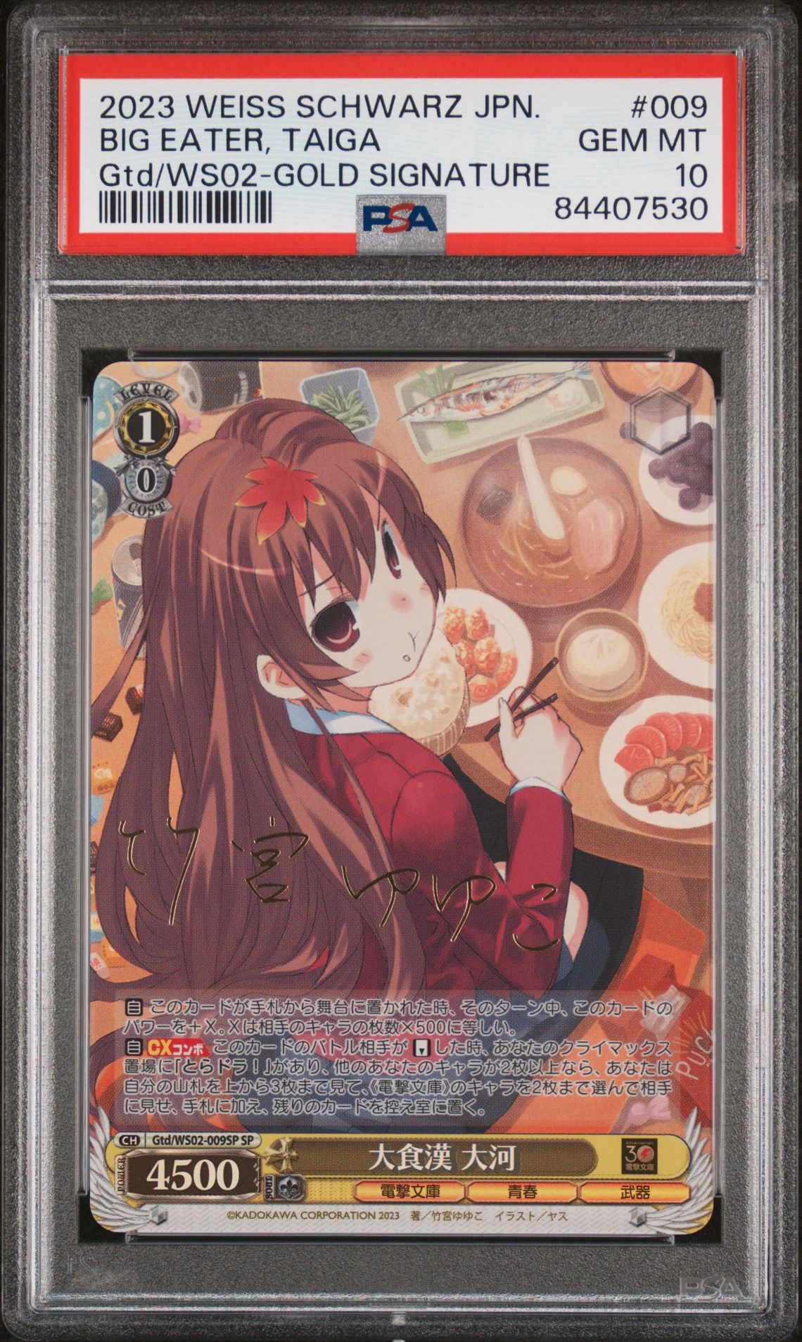 Toradora Bunko 009